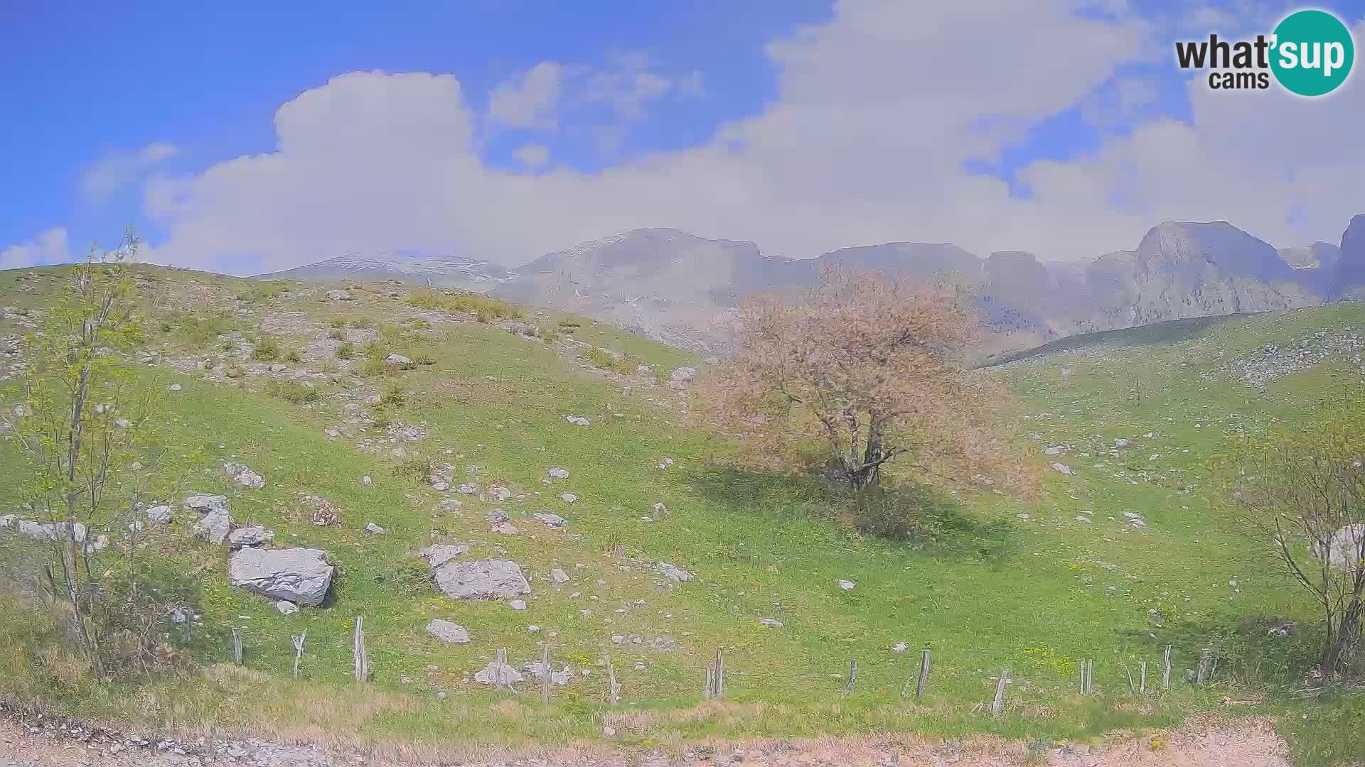 Web kamera Planina Kuhinja – KRN – Kobarid – Slovenija