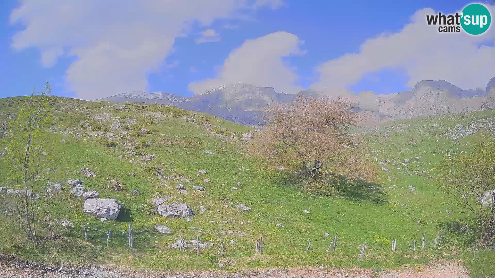 Webcam Planina Kuhinja – KRN – Kobarid – Slowenien