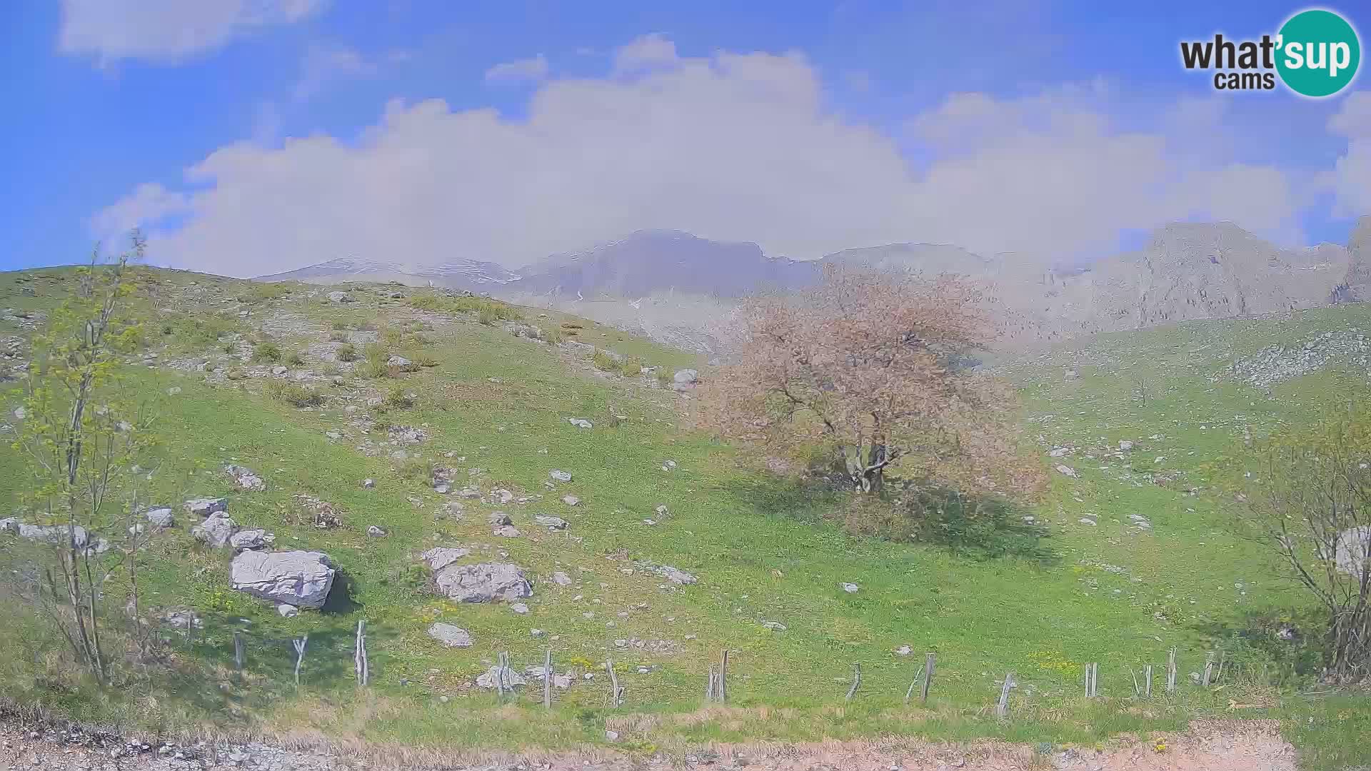 Webcam Planina Kuhinja – KRN – Kobarid – Slowenien