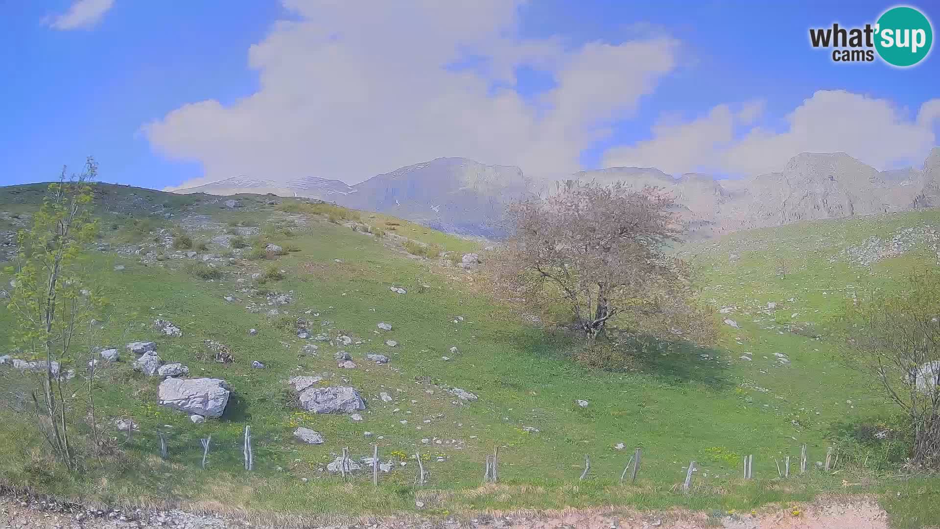 Webcam Planina Kuhinja – KRN – Kobarid – Slowenien