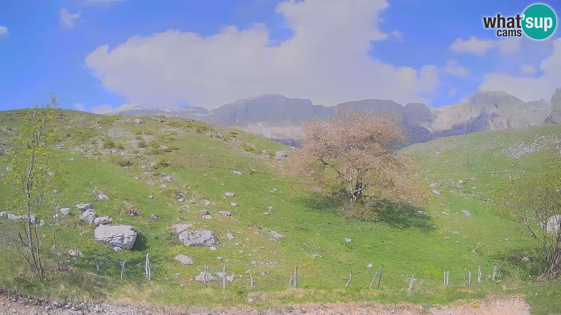 Cámara en Vivo de Planina Kuhinja – KRN – Kobarid – Eslovenia