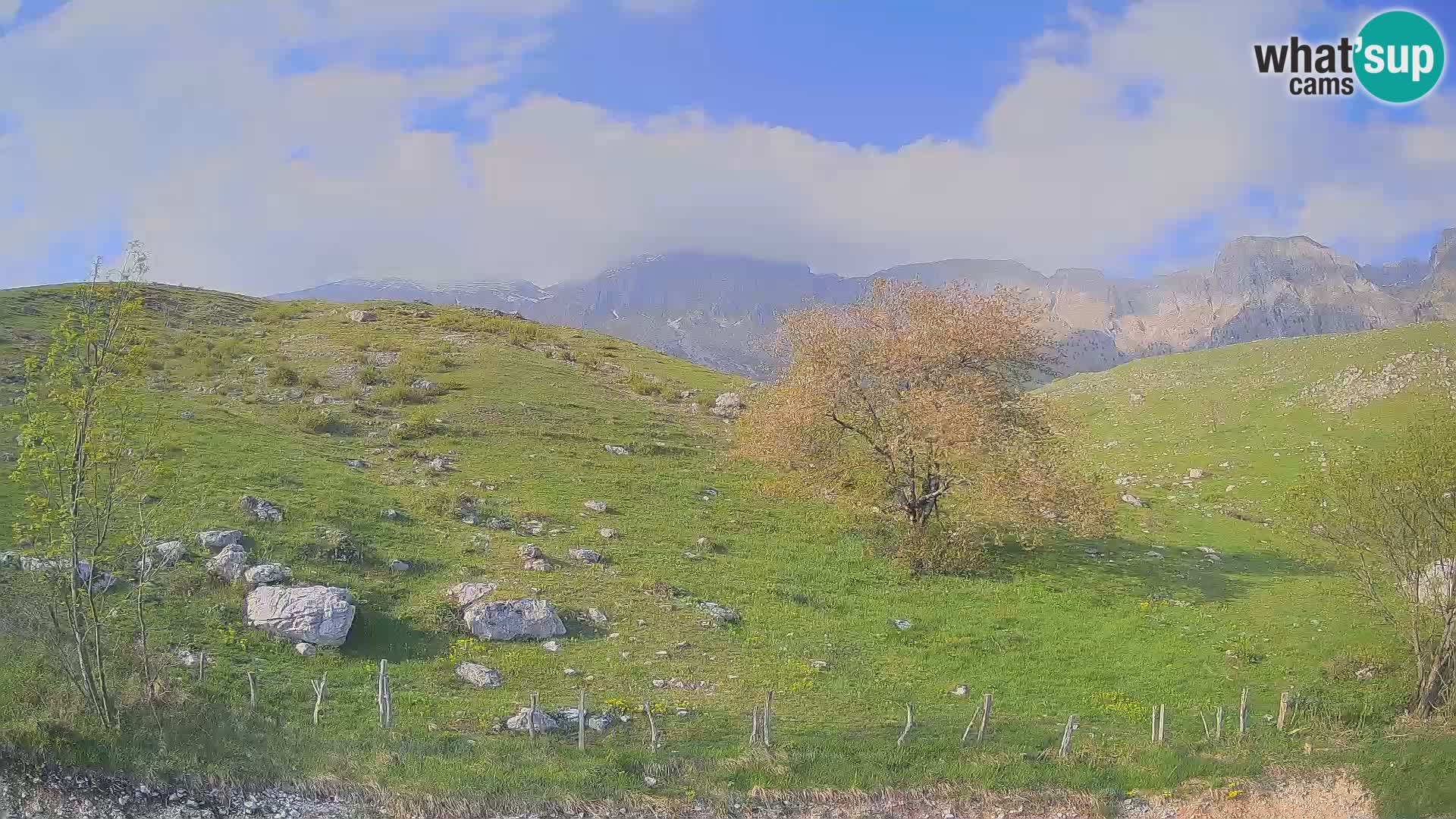 Webcam Krn – Planina Kuhinja ( Plateau Kuhinja ) – Kobarid – Slovenia