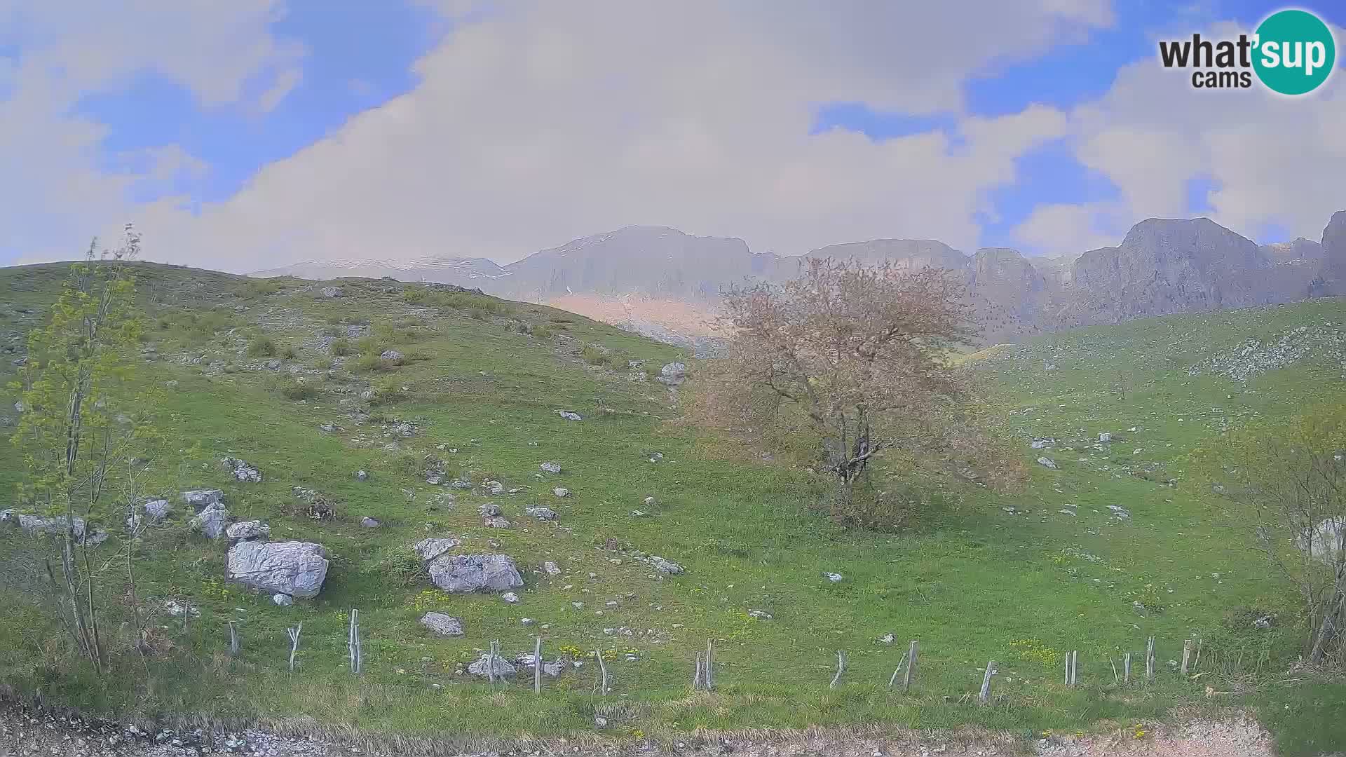 Webcam Krn – Planina Kuhinja ( Plateau Kuhinja ) – Kobarid – Slovenia