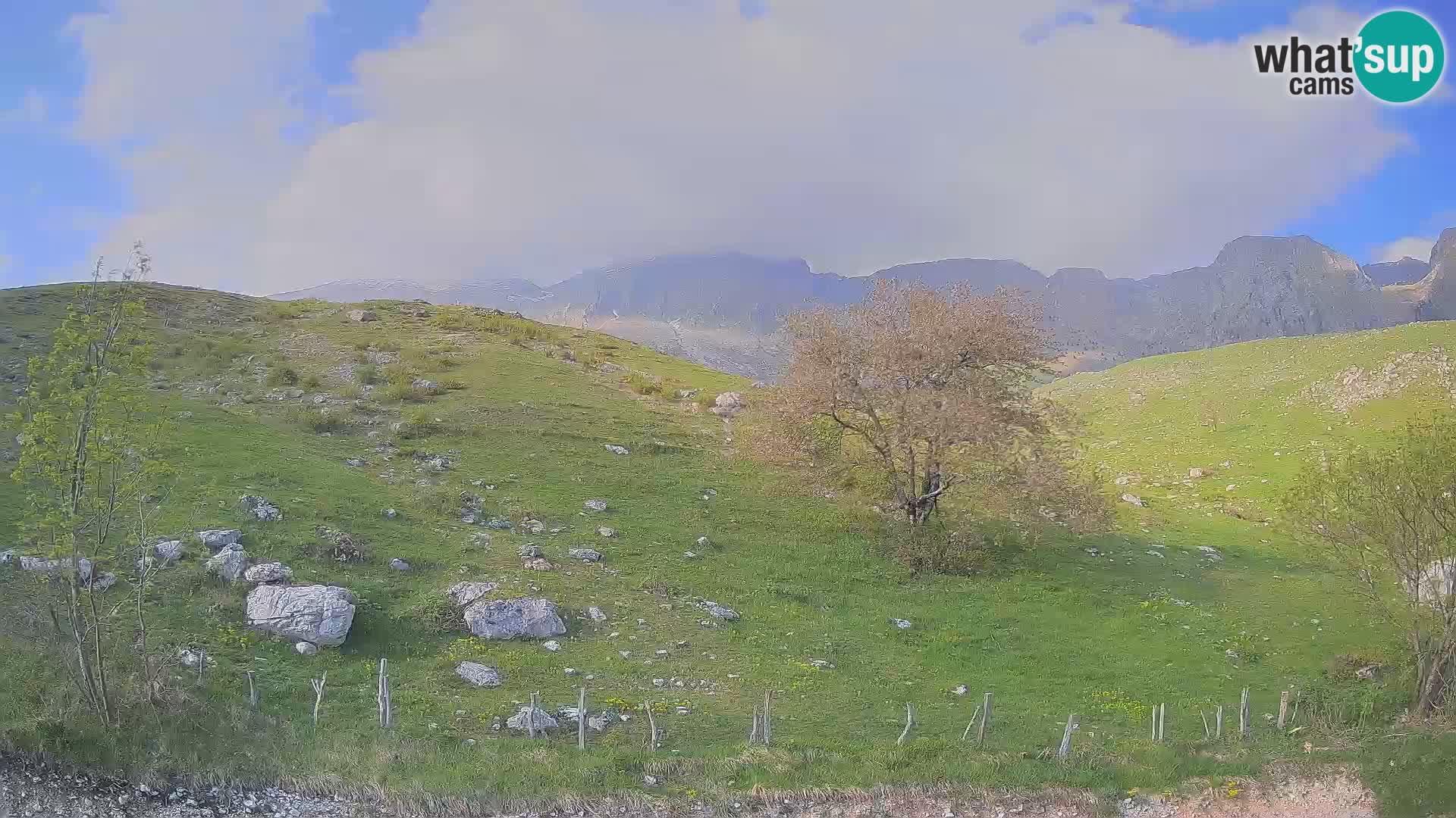 Webcam Krn – Planina Kuhinja ( Plateau Kuhinja ) – Kobarid – Slovenia