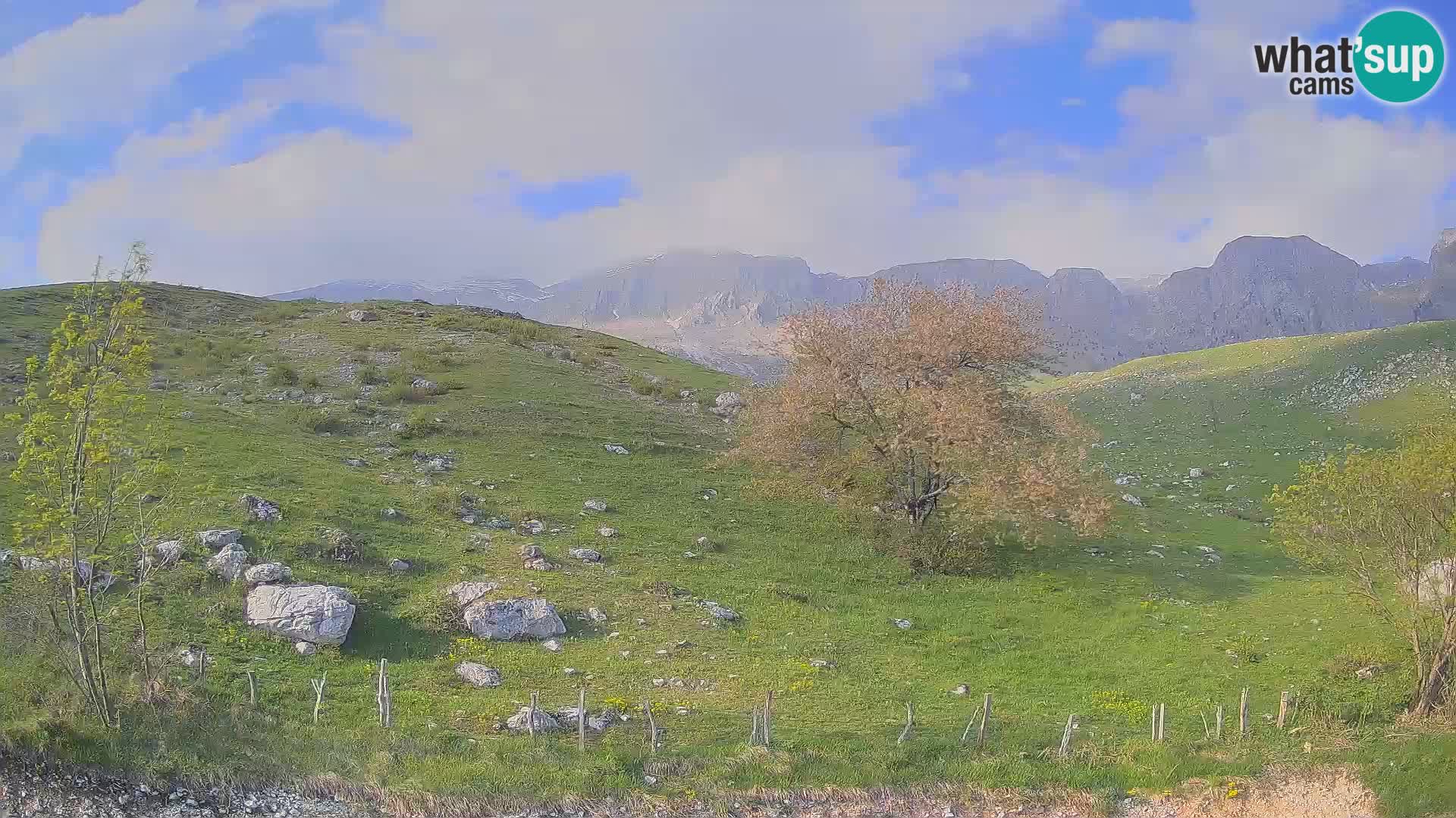 Spletna kamera Planina Kuhinja – KRN – Kobarid