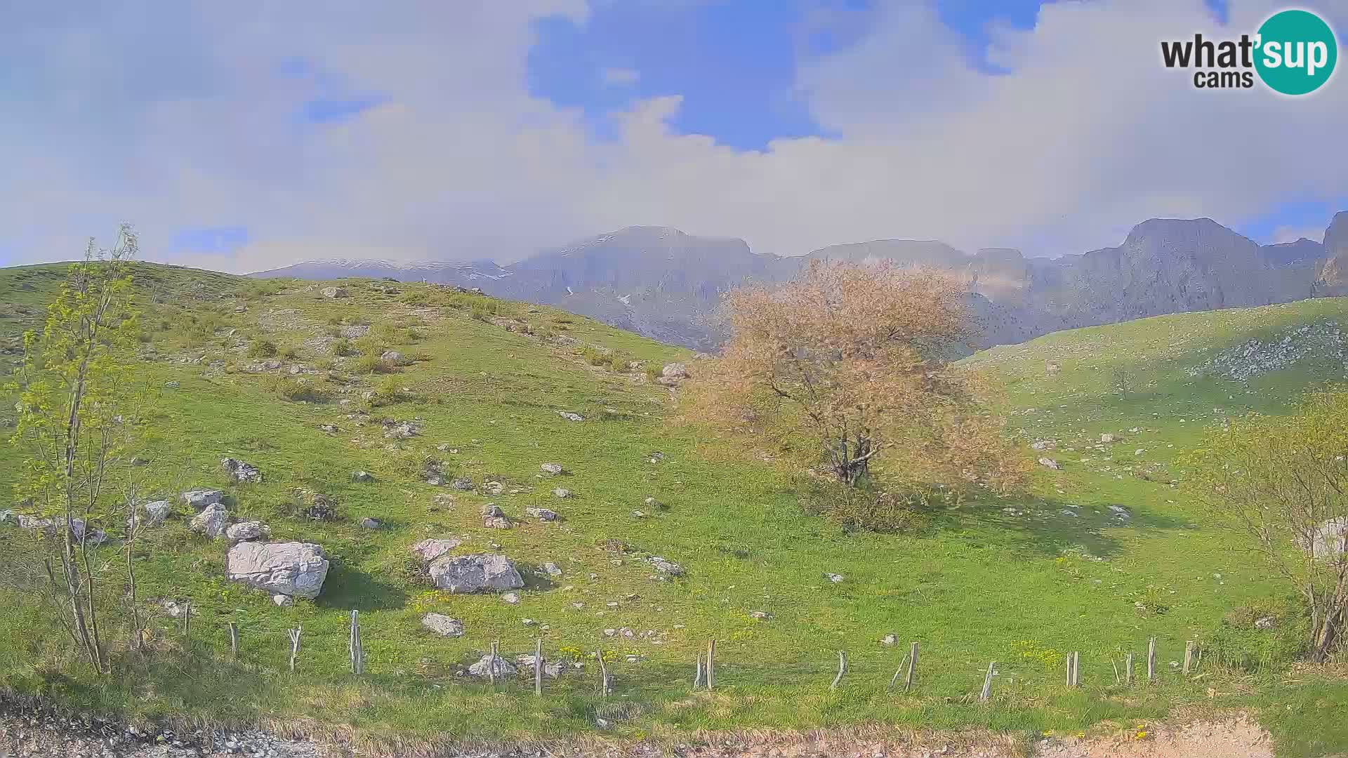 Web kamera Planina Kuhinja – KRN – Kobarid – Slovenija
