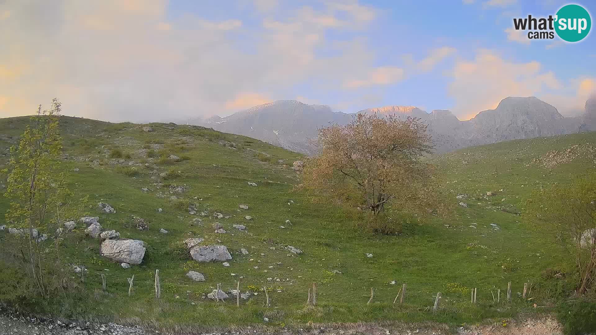 Cámara en Vivo de Planina Kuhinja – KRN – Kobarid – Eslovenia