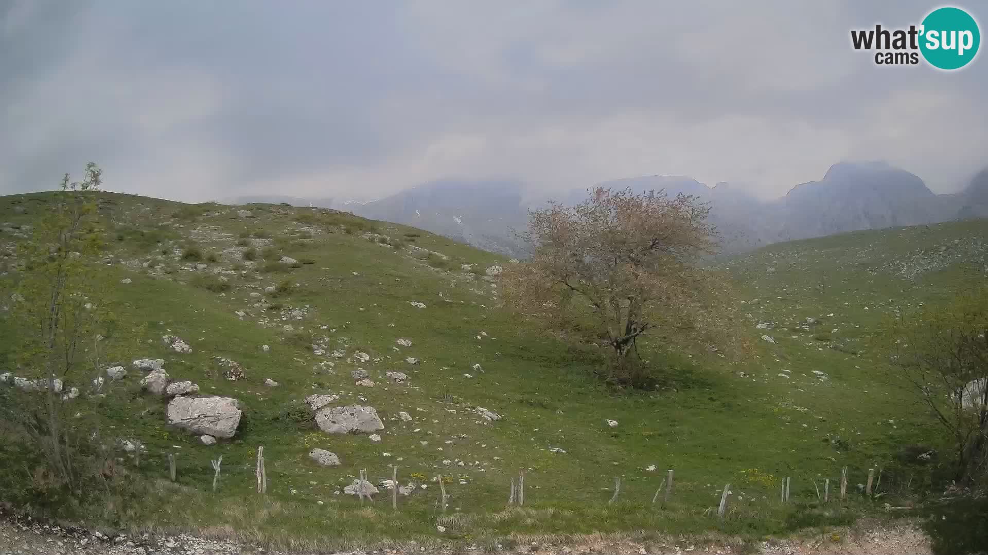 Cámara en Vivo de Planina Kuhinja – KRN – Kobarid – Eslovenia