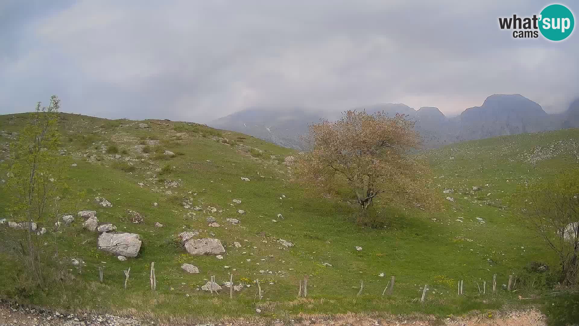 Livecam Planina Kuhinja – KRN- Kobarid – Slovénie