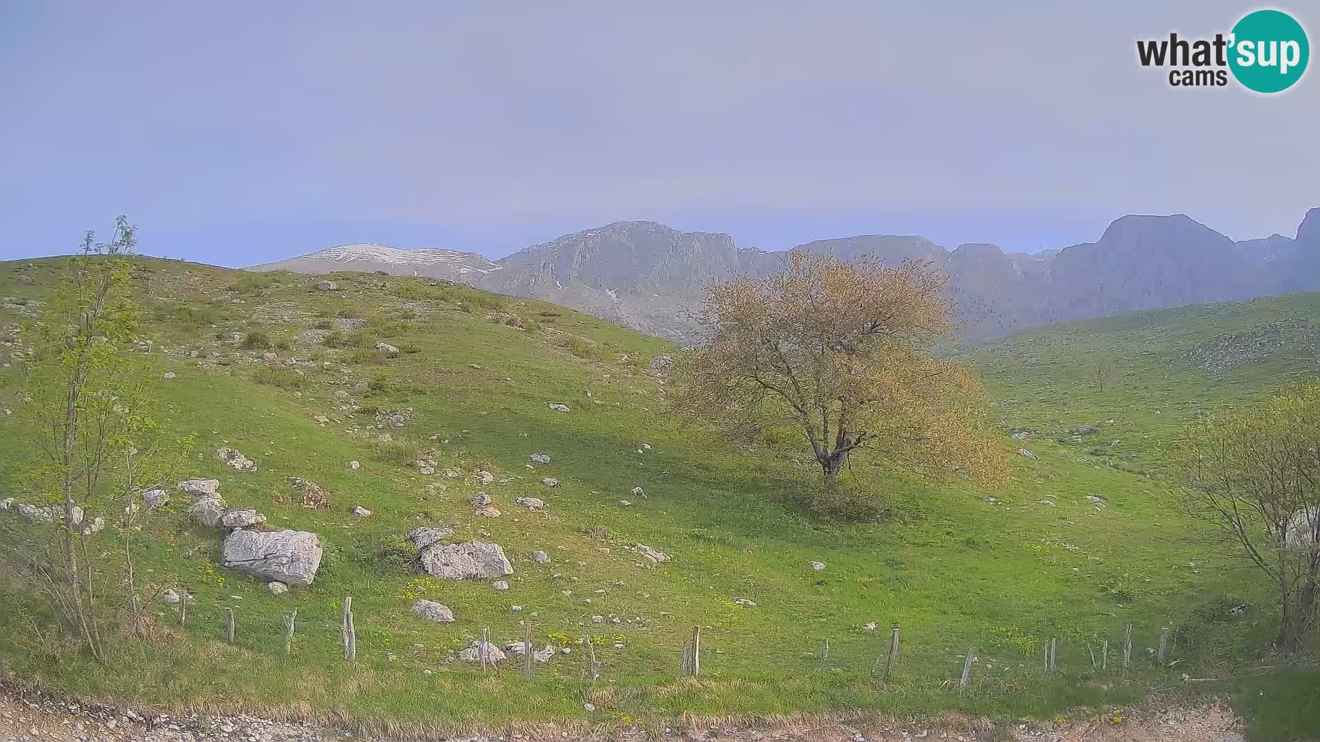 Webcam Krn – Planina Kuhinja ( Plateau Kuhinja ) – Kobarid – Slovenia