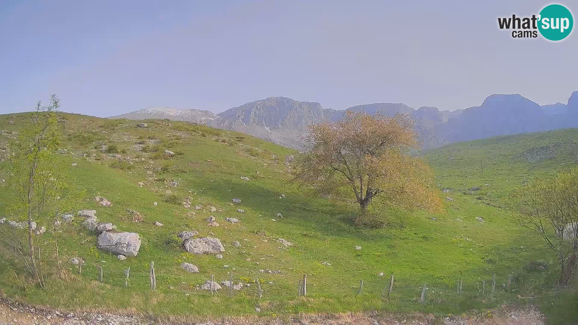 Webcam Krn – Planina Kuhinja ( Plateau Kuhinja ) – Kobarid – Slovenia