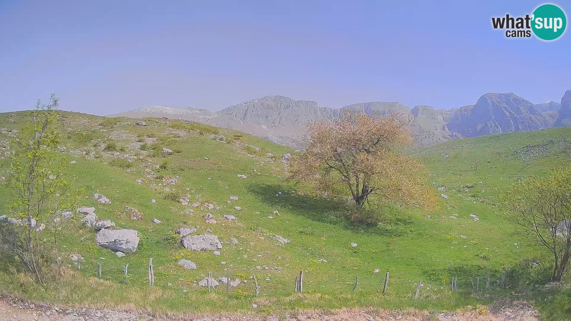 Spletna kamera Planina Kuhinja – KRN – Kobarid