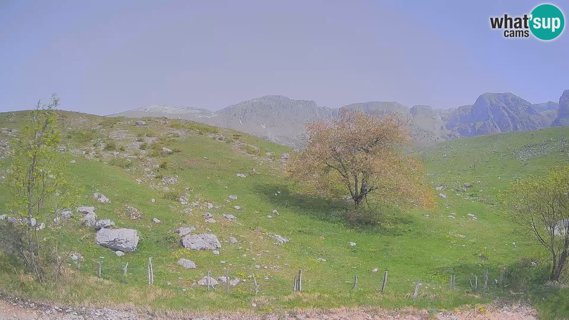 Webcam Krn – Planina Kuhinja ( Plateau Kuhinja ) – Kobarid – Slovenia