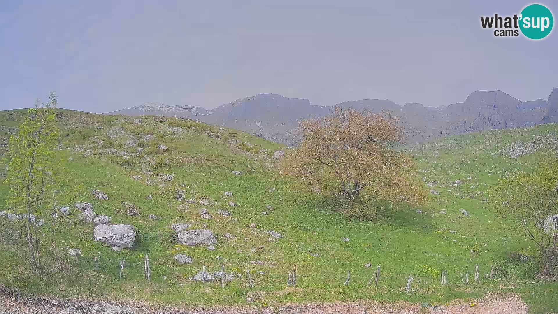 Webcam Planina Kuhinja – KRN – Kobarid – Slowenien