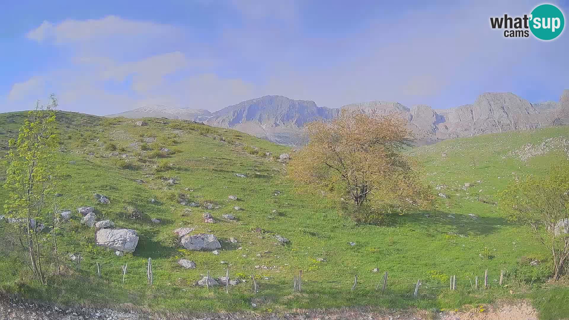 Cámara en Vivo de Planina Kuhinja – KRN – Kobarid – Eslovenia