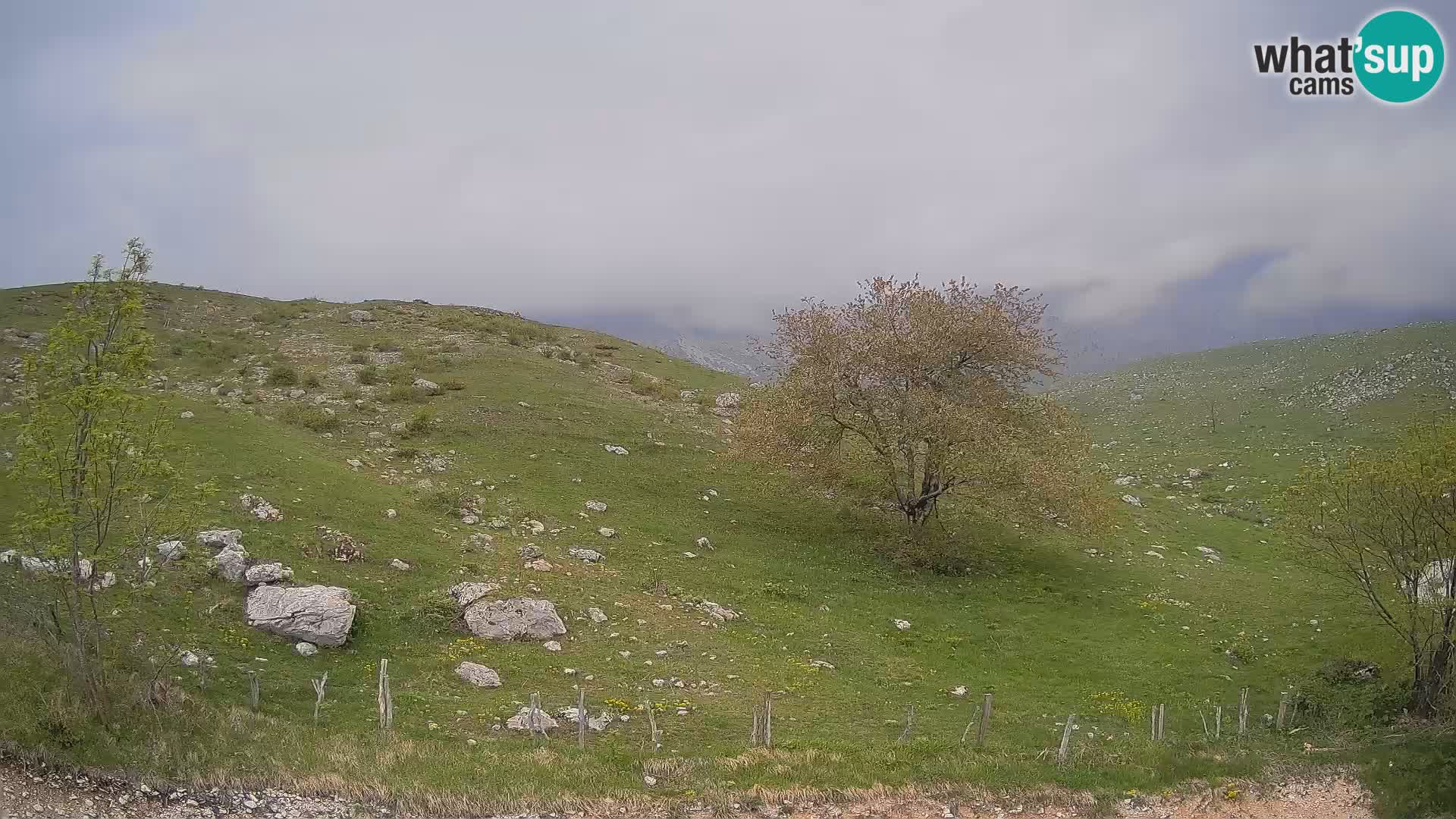 Webcam Krn – Planina Kuhinja ( Plateau Kuhinja ) – Kobarid – Slovenia