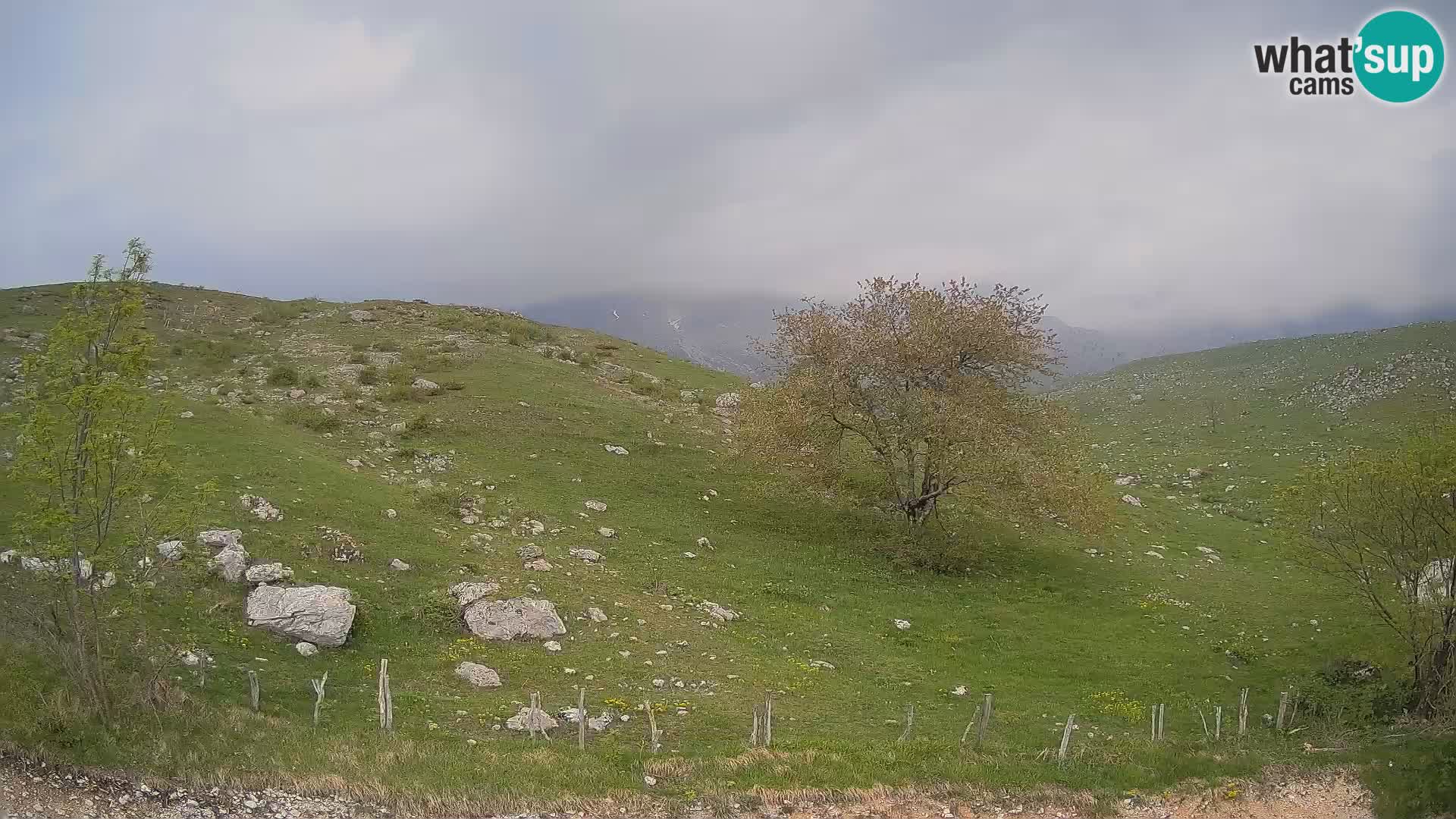 Cámara en Vivo de Planina Kuhinja – KRN – Kobarid – Eslovenia