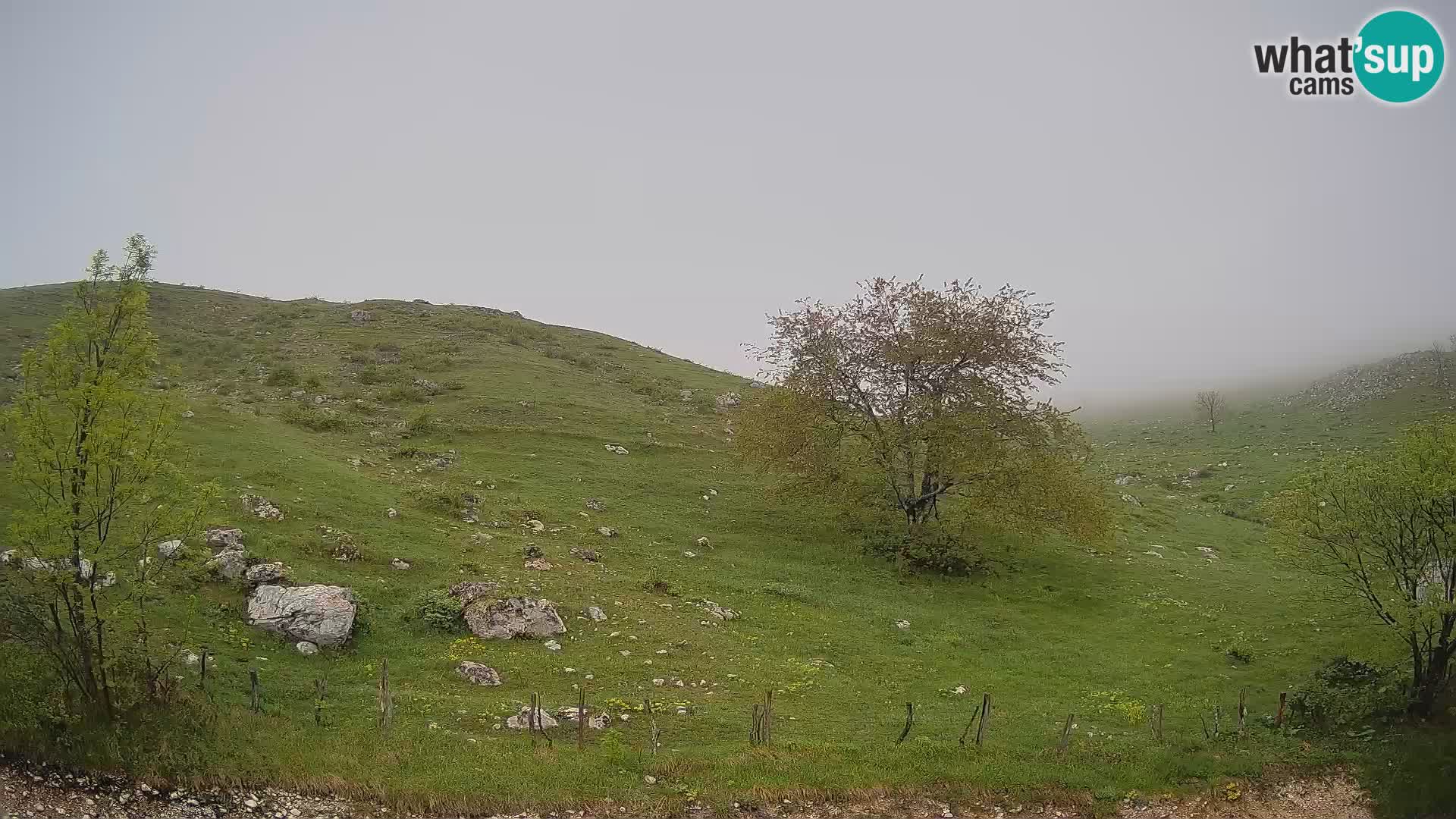 Web kamera Planina Kuhinja – KRN – Kobarid – Slovenija
