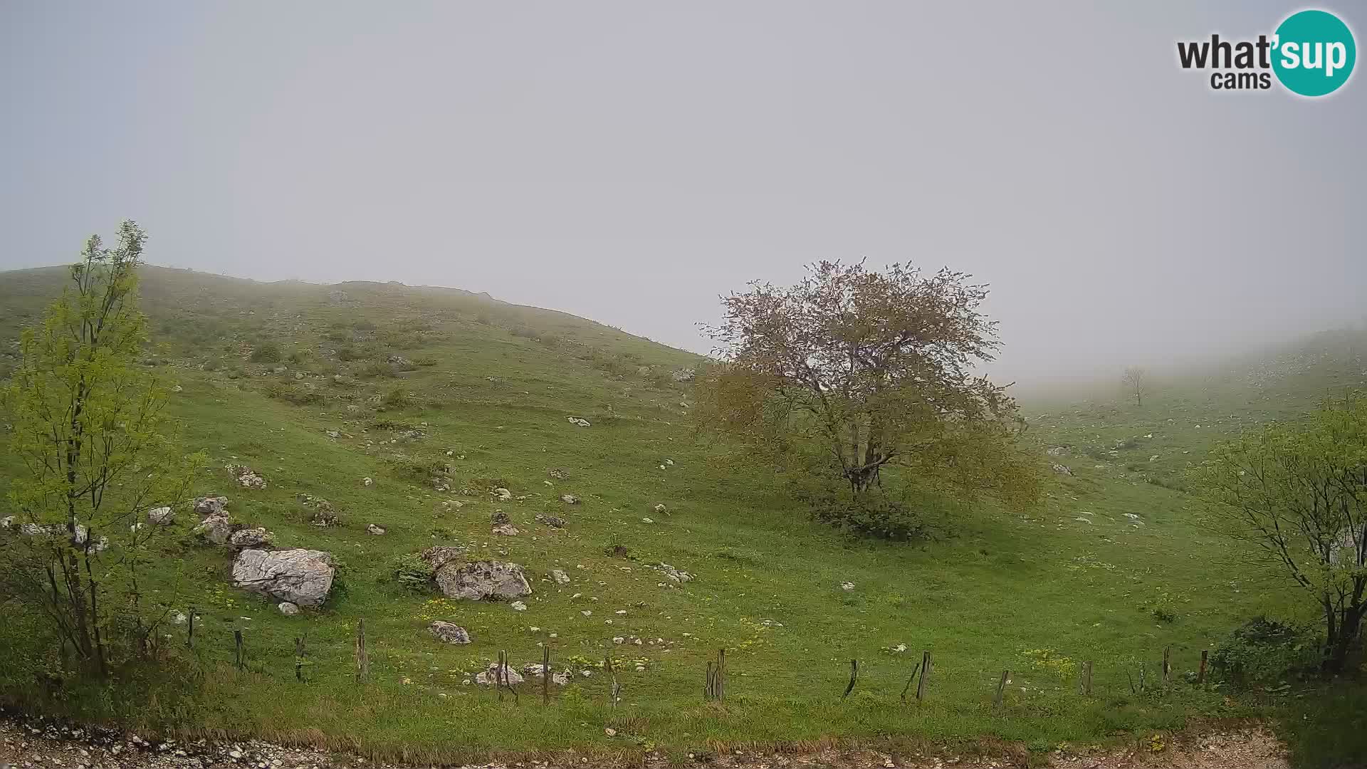 Livecam Planina Kuhinja – KRN- Kobarid – Slovénie