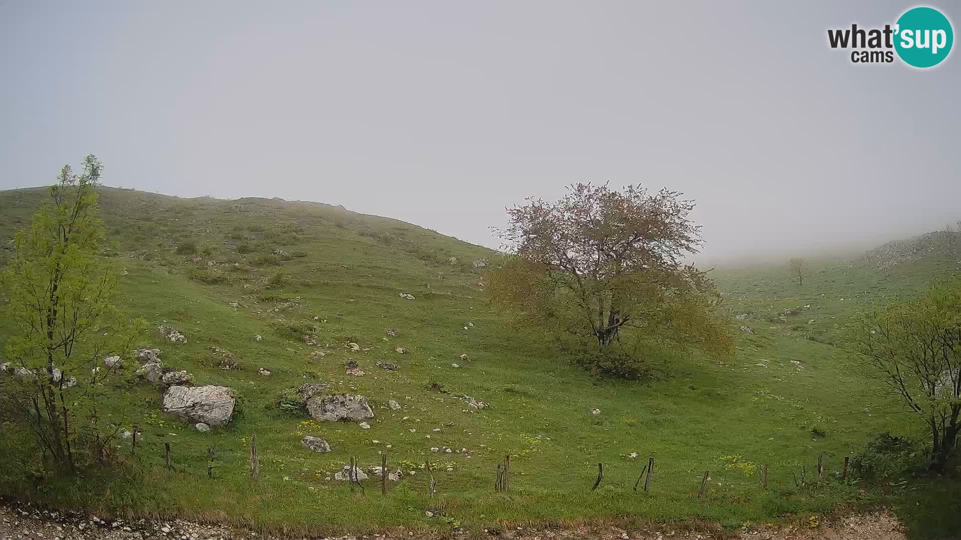 Web kamera Planina Kuhinja – KRN – Kobarid – Slovenija