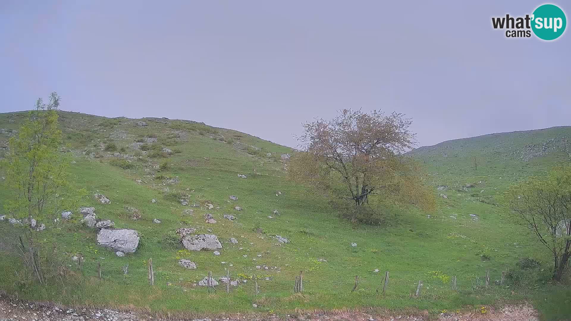 Live cam Planina Kuhinja – Monte Nero ( Krn ) – Caporetto – Slovenia