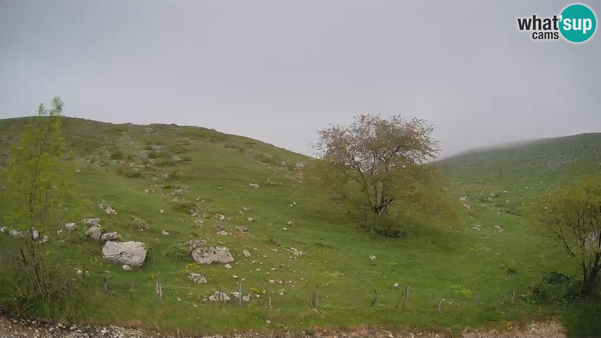 Cámara en Vivo de Planina Kuhinja – KRN – Kobarid – Eslovenia