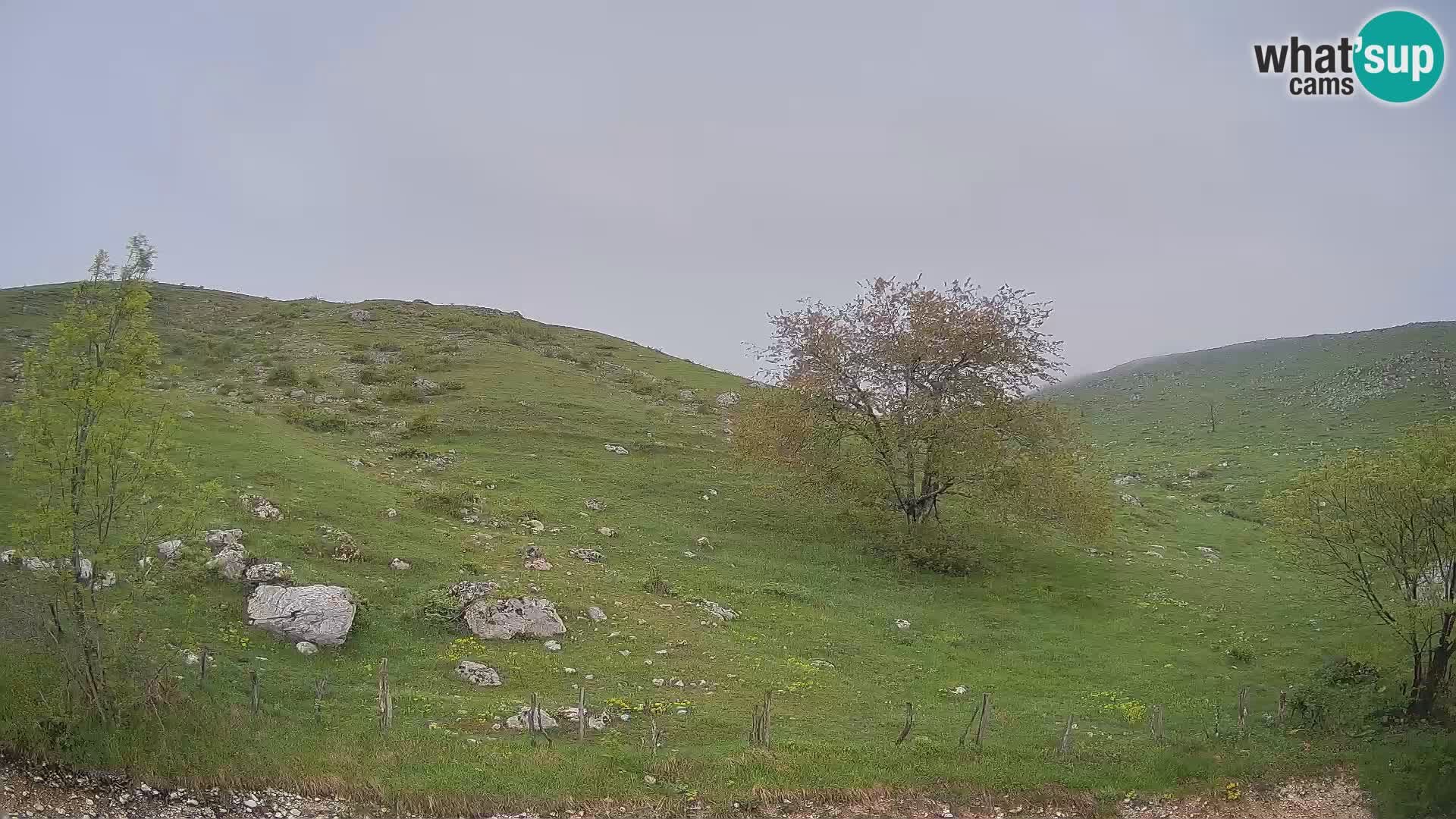 Spletna kamera Planina Kuhinja – KRN – Kobarid
