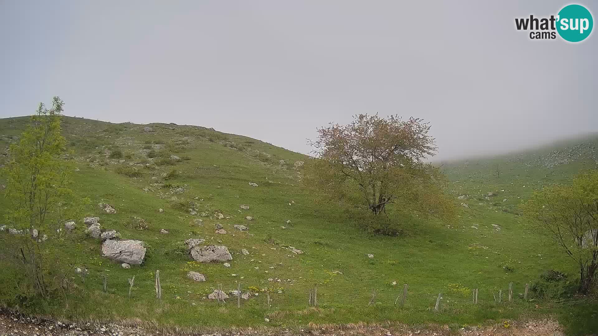 Spletna kamera Planina Kuhinja – KRN – Kobarid
