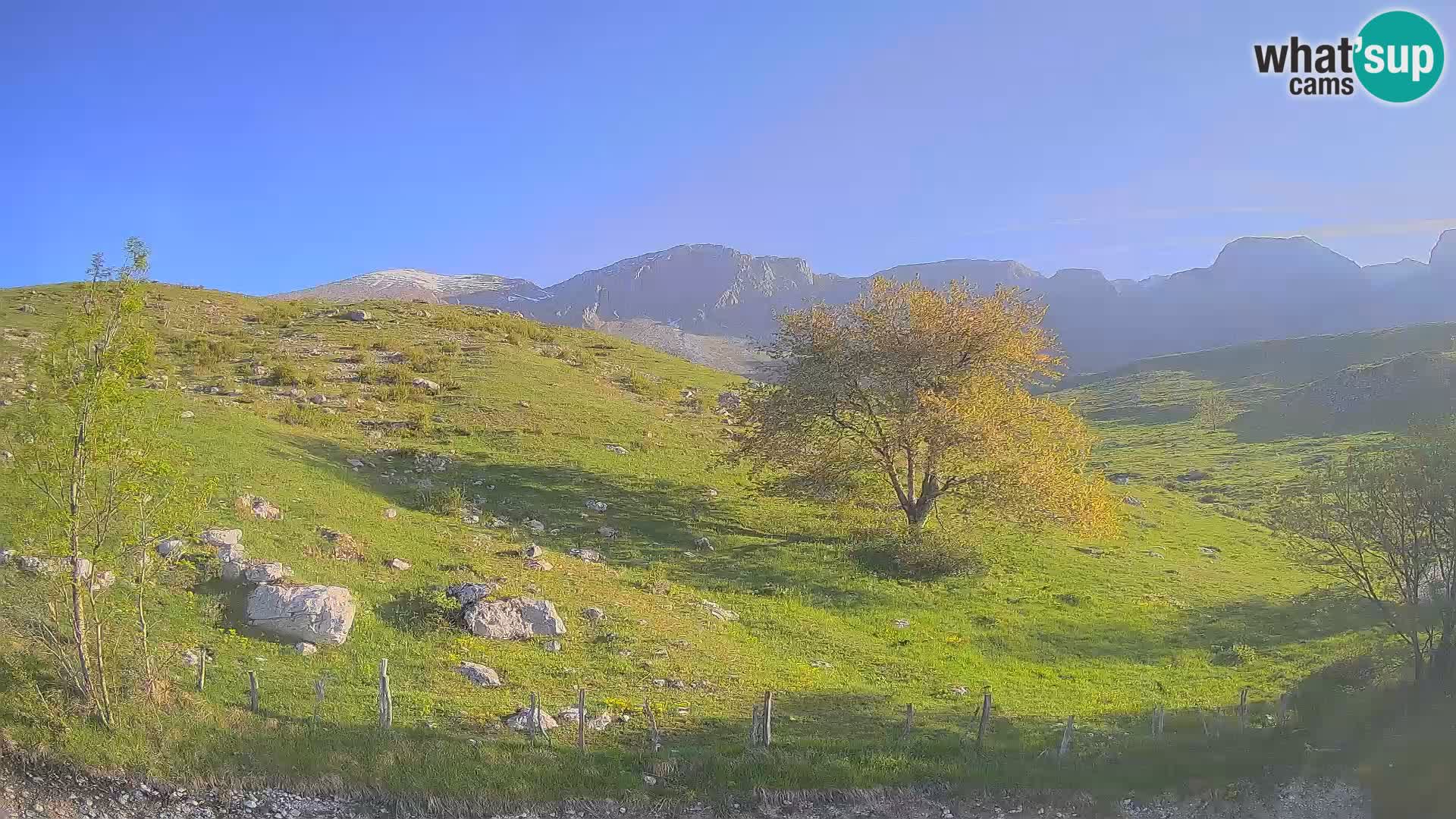 Cámara en Vivo de Planina Kuhinja – KRN – Kobarid – Eslovenia