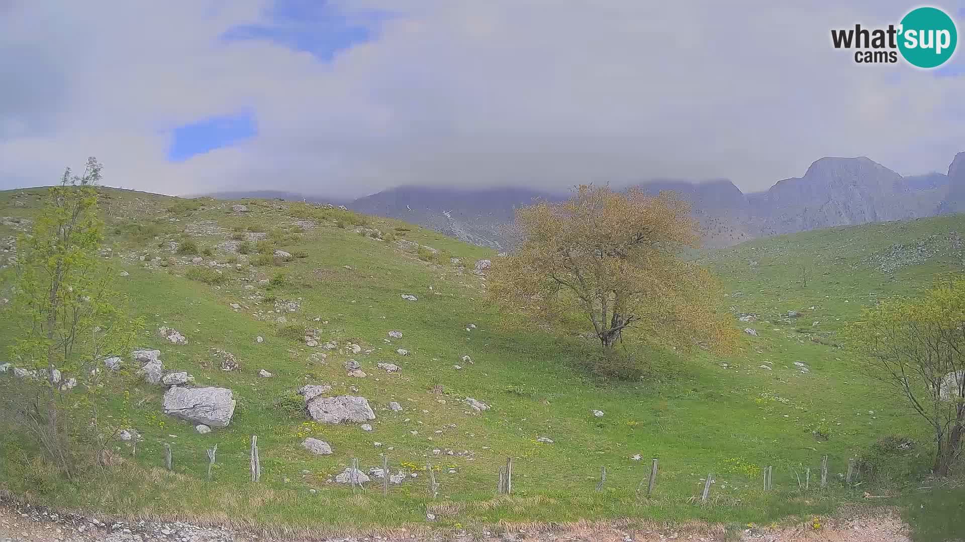 Live cam Planina Kuhinja – Monte Nero ( Krn ) – Caporetto – Slovenia