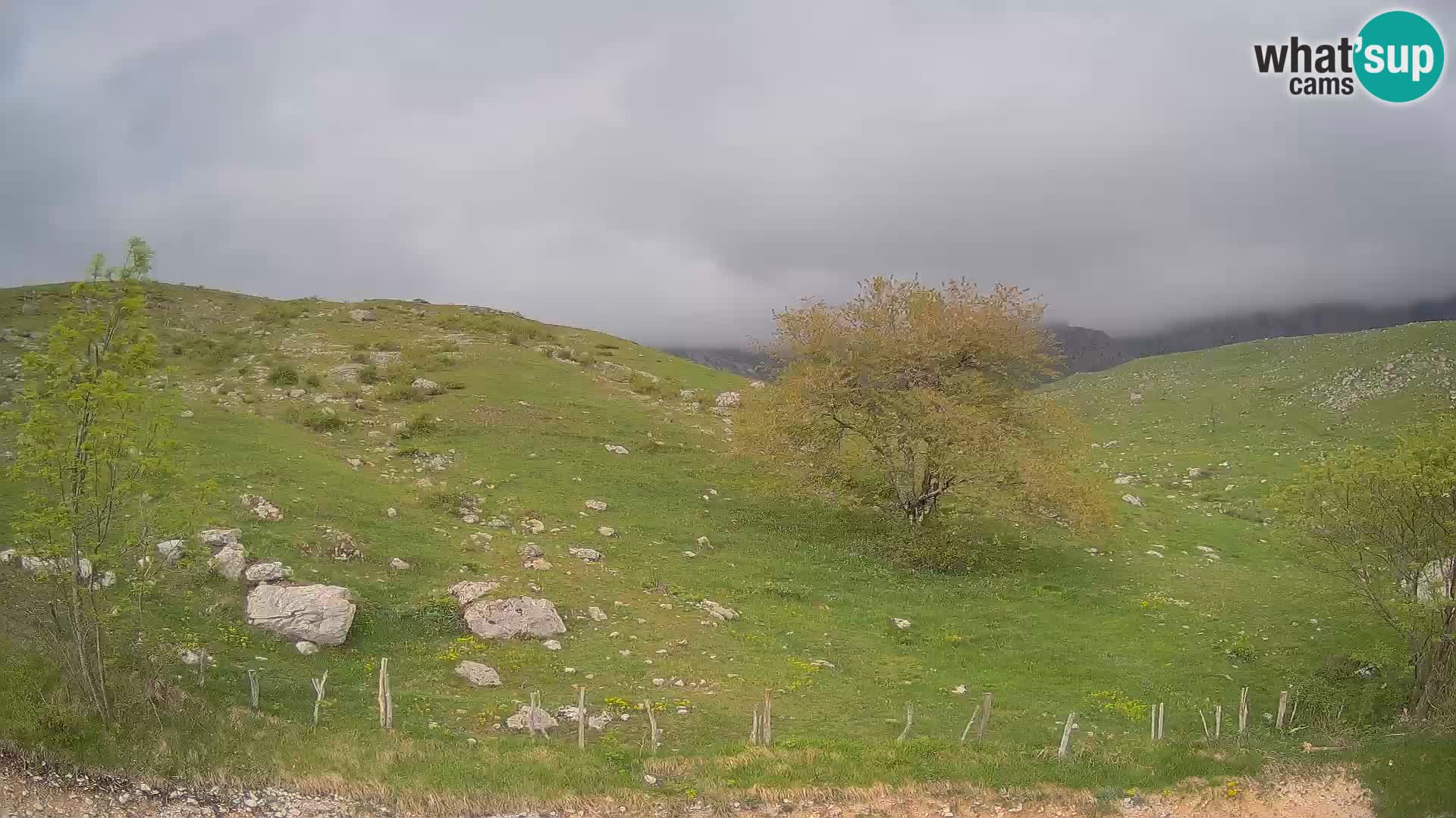 Web kamera Planina Kuhinja – KRN – Kobarid – Slovenija
