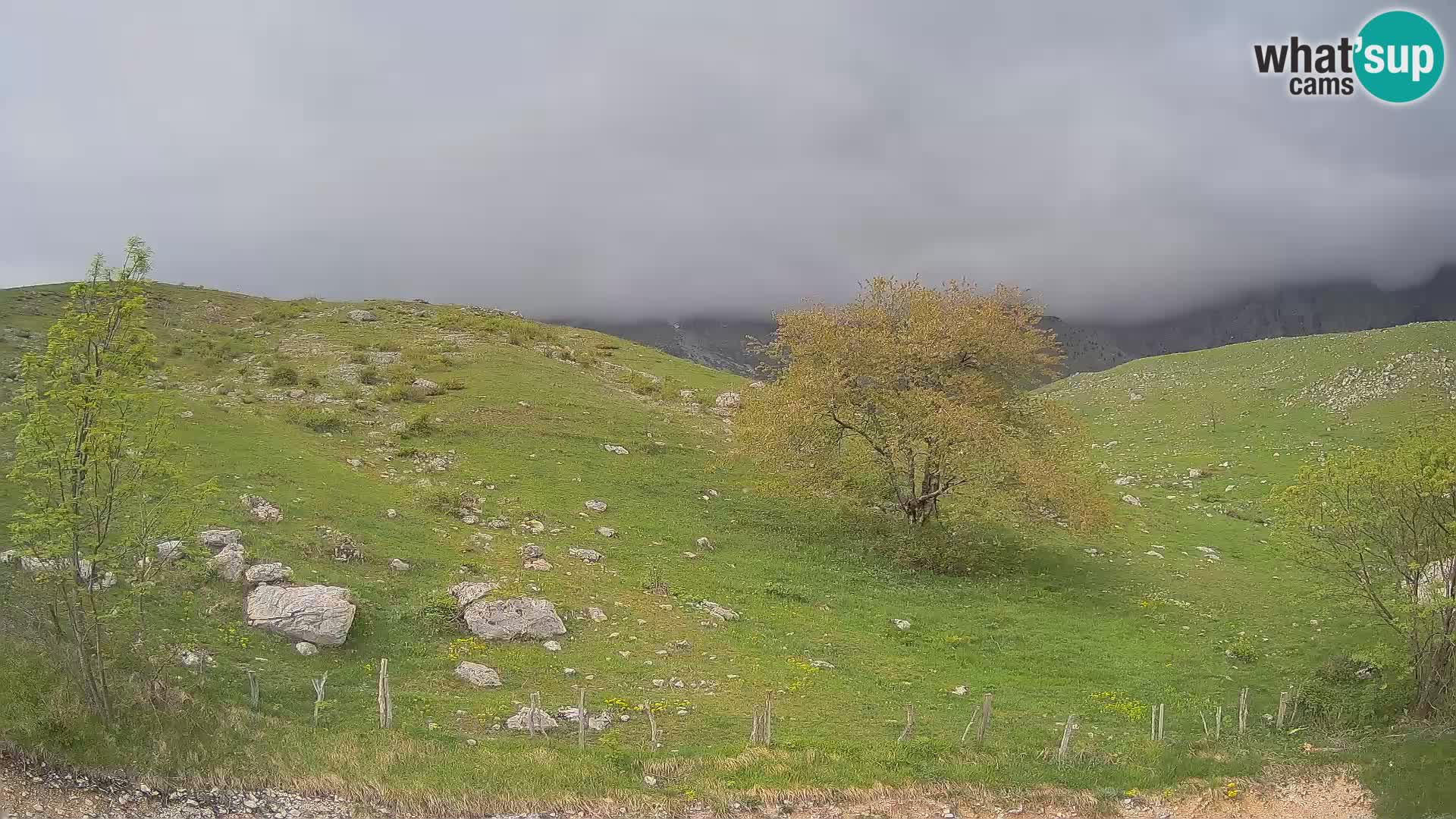 Web kamera Planina Kuhinja – KRN – Kobarid – Slovenija
