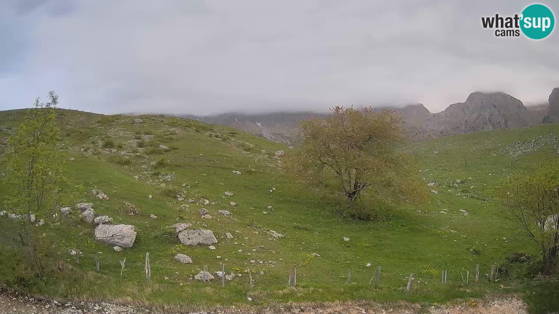 Live cam Planina Kuhinja – Monte Nero ( Krn ) – Caporetto – Slovenia