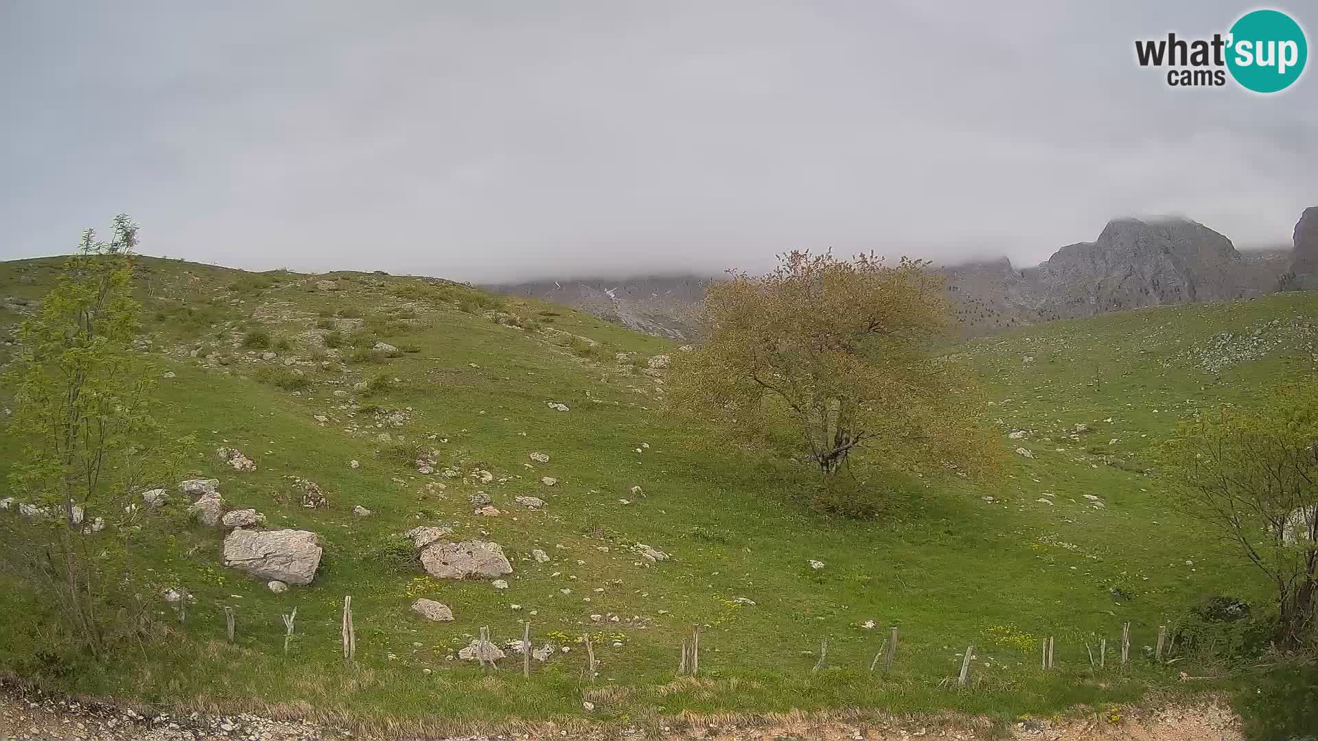 Webcam Planina Kuhinja – KRN – Kobarid – Slowenien