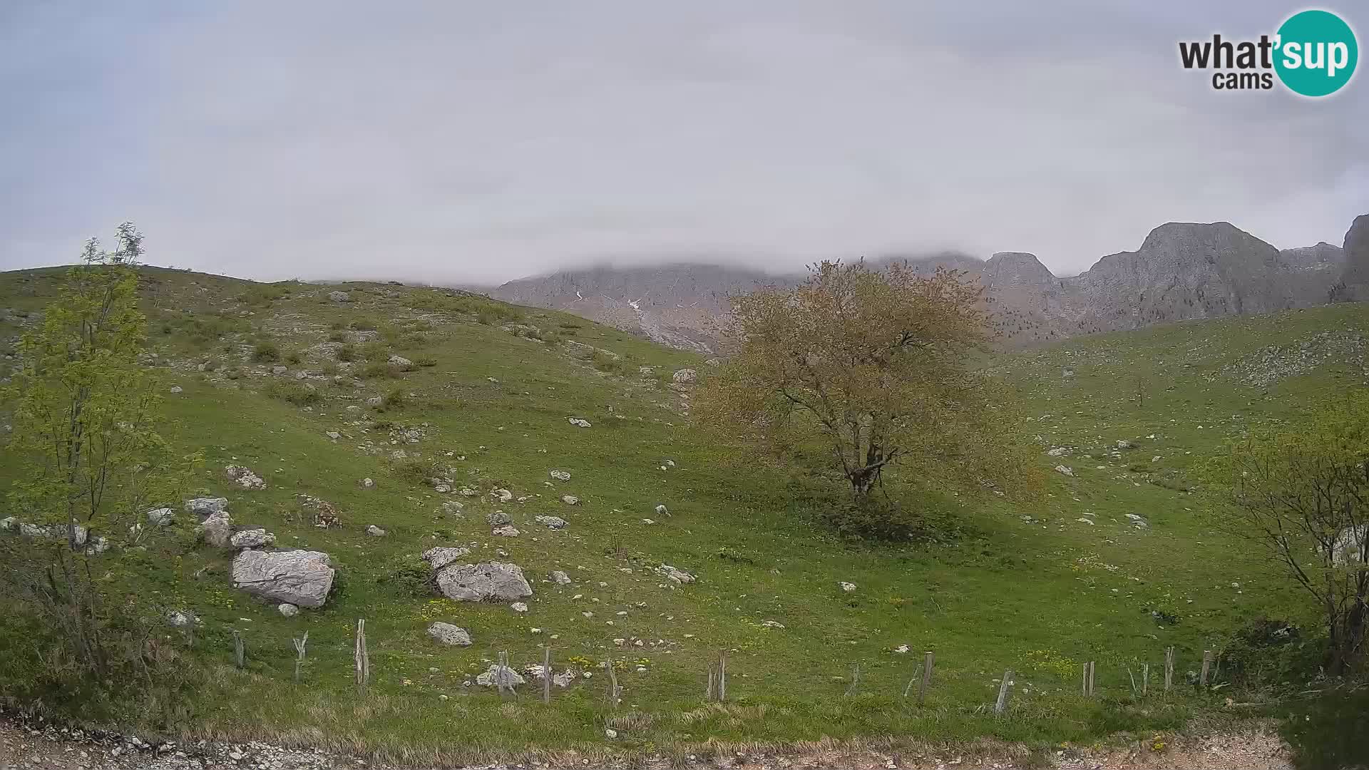 Spletna kamera Planina Kuhinja – KRN – Kobarid