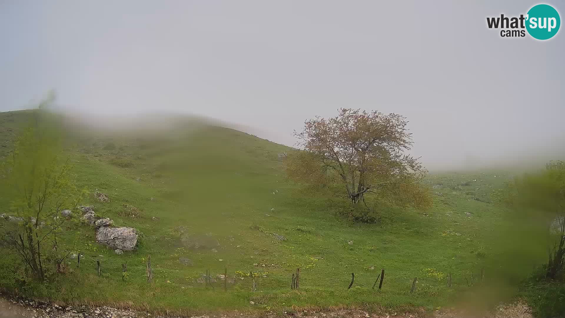 Webcam Krn – Planina Kuhinja ( Plateau Kuhinja ) – Kobarid – Slovenia
