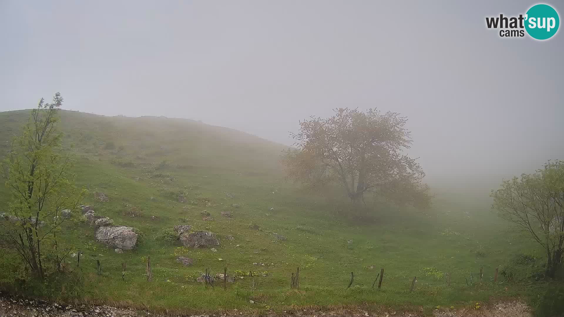 Cámara en Vivo de Planina Kuhinja – KRN – Kobarid – Eslovenia