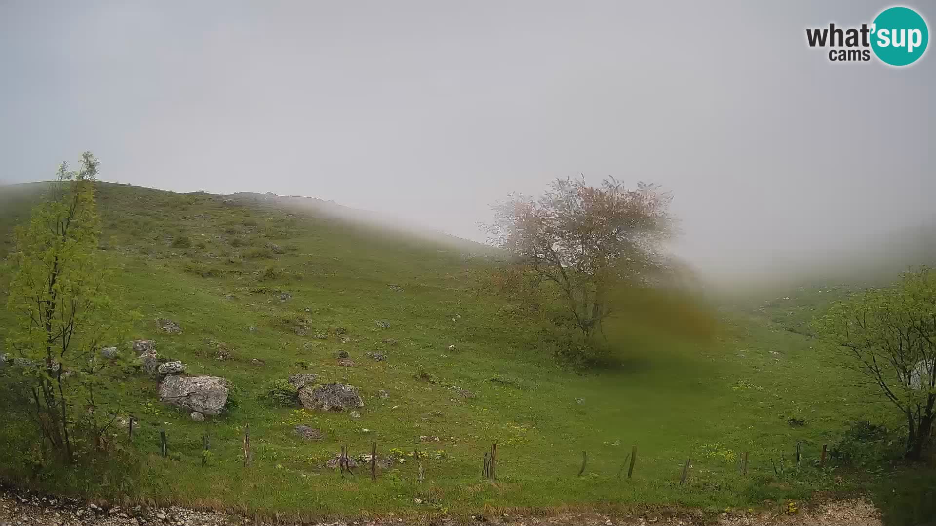 Cámara en Vivo de Planina Kuhinja – KRN – Kobarid – Eslovenia