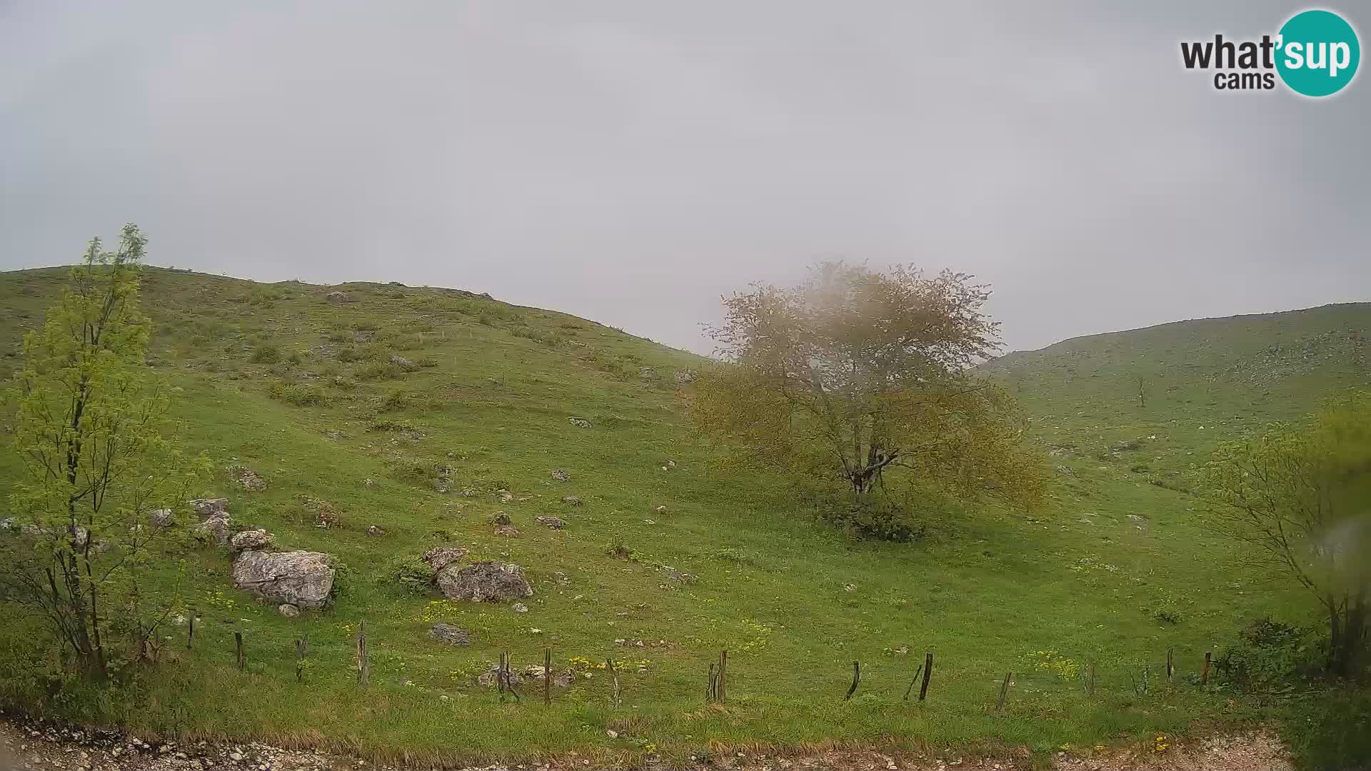 Webcam Krn – Planina Kuhinja ( Plateau Kuhinja ) – Kobarid – Slovenia