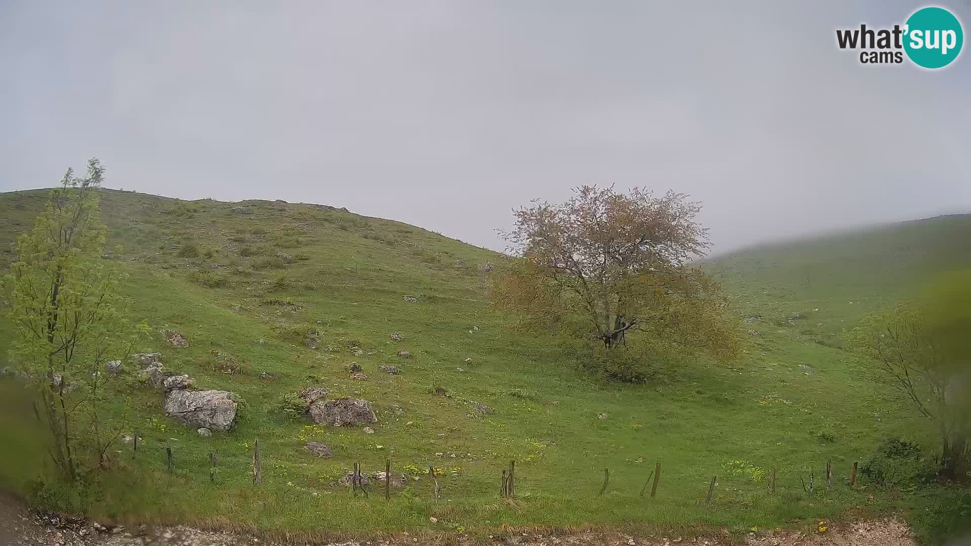 Spletna kamera Planina Kuhinja – KRN – Kobarid