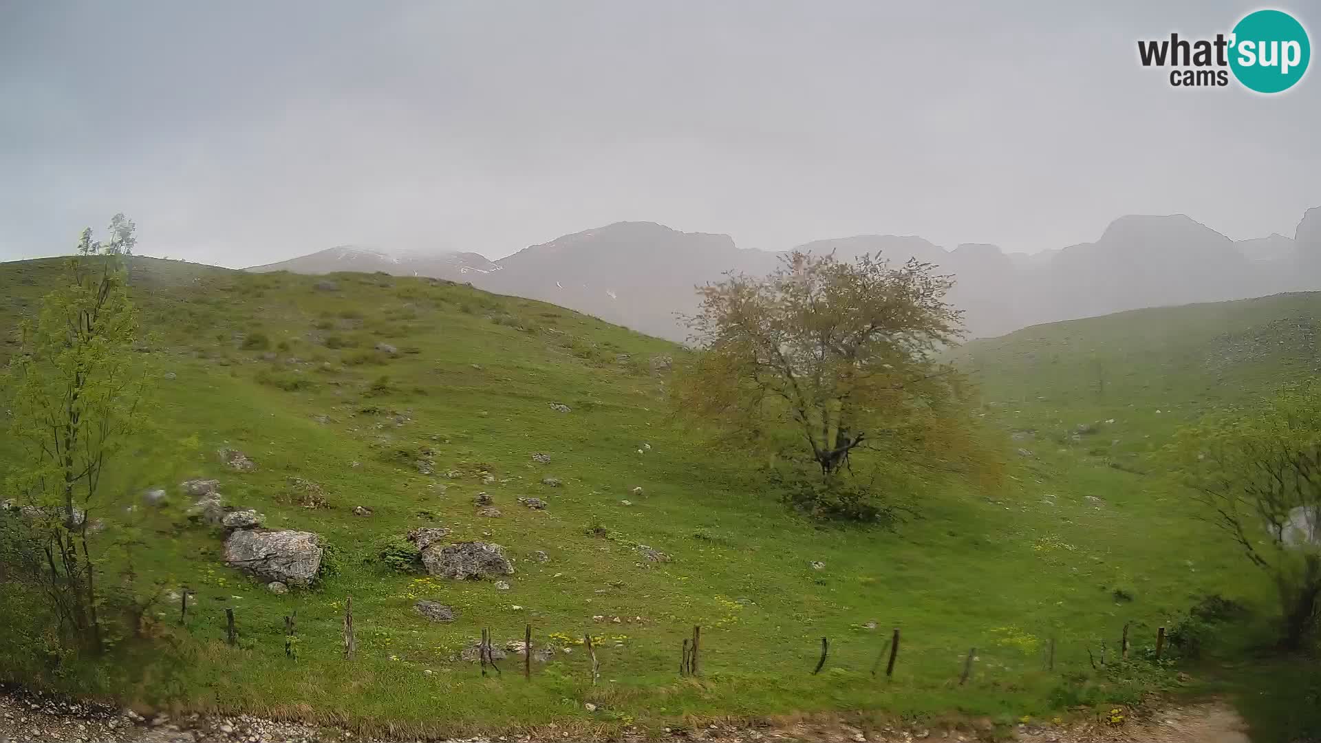Cámara en Vivo de Planina Kuhinja – KRN – Kobarid – Eslovenia