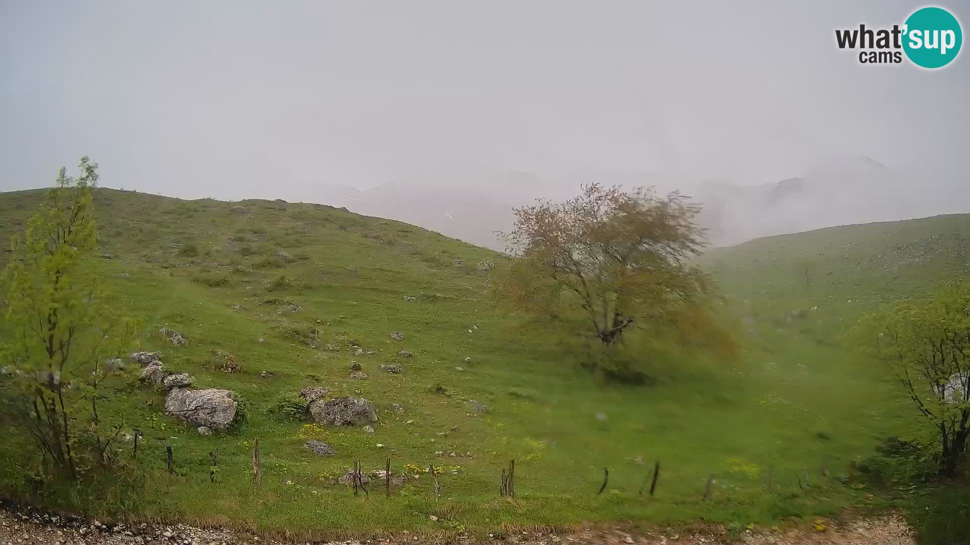 Spletna kamera Planina Kuhinja – KRN – Kobarid