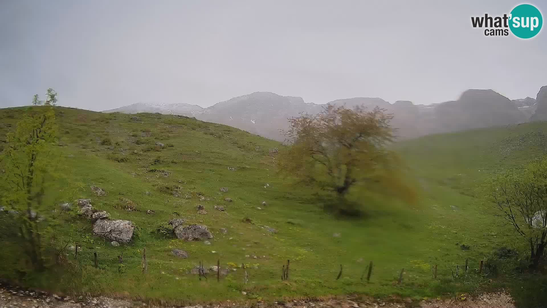 Spletna kamera Planina Kuhinja – KRN – Kobarid