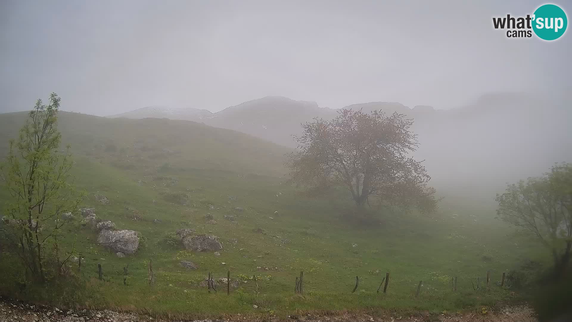 Livecam Planina Kuhinja – KRN- Kobarid – Slovénie
