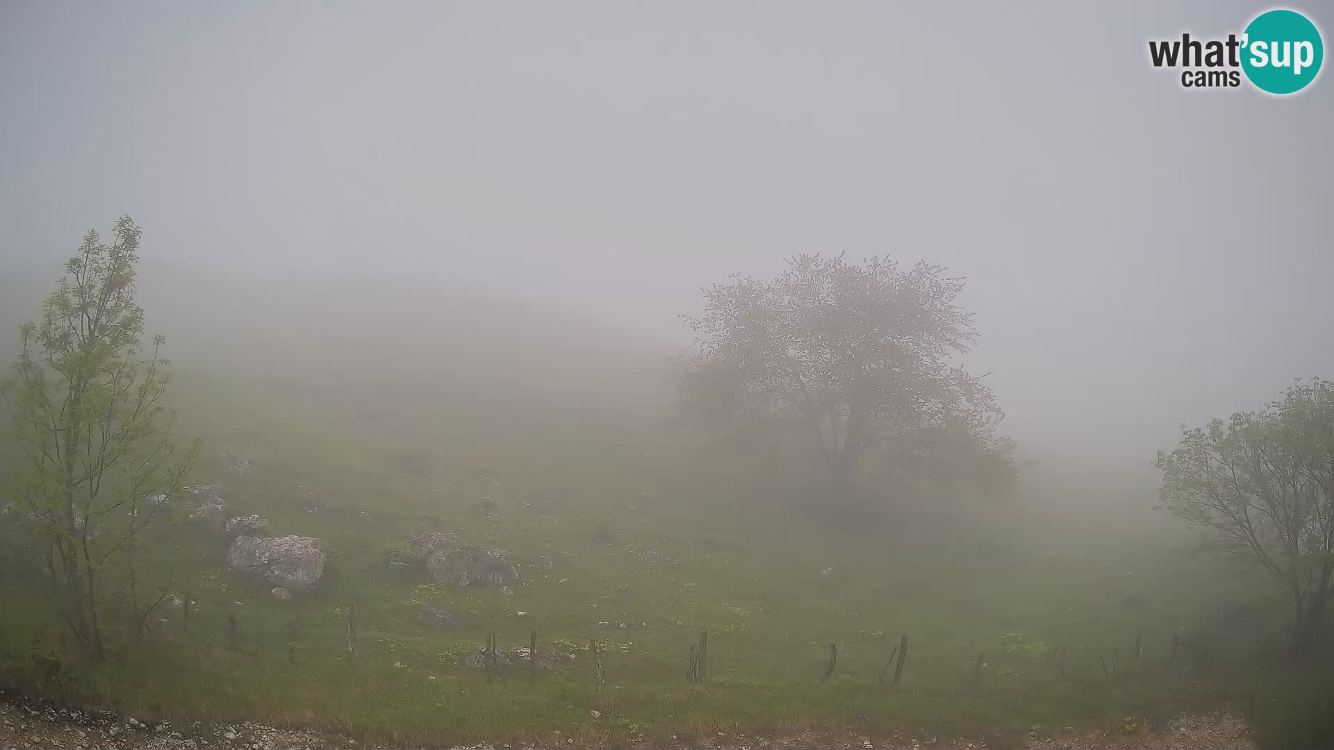 Webcam Planina Kuhinja – KRN – Kobarid – Slowenien