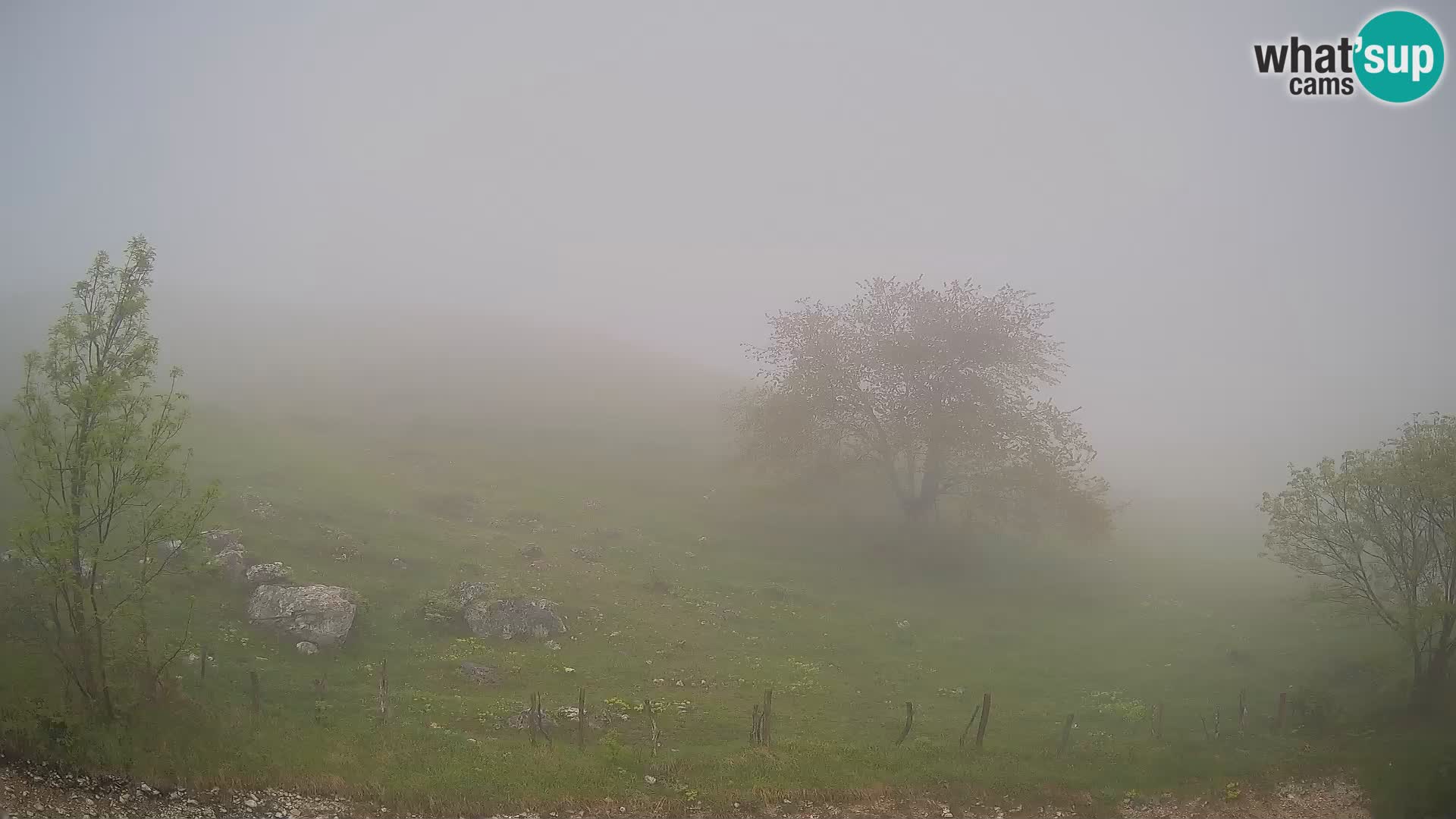 Web kamera Planina Kuhinja – KRN – Kobarid – Slovenija