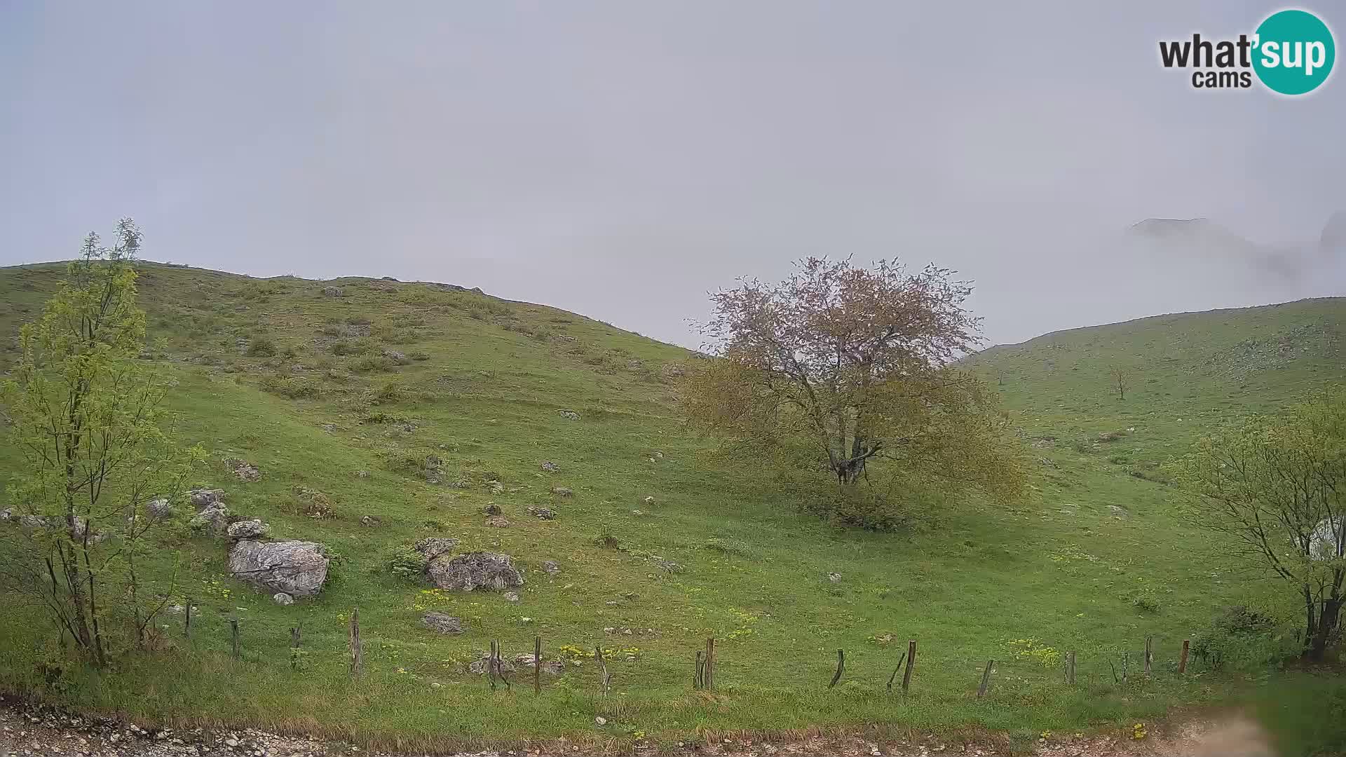 Web kamera Planina Kuhinja – KRN – Kobarid – Slovenija