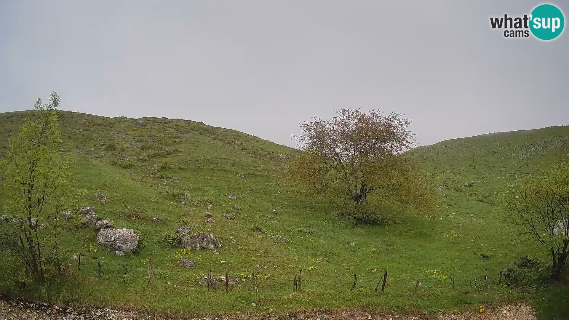 Webcam Krn – Planina Kuhinja ( Plateau Kuhinja ) – Kobarid – Slovenia