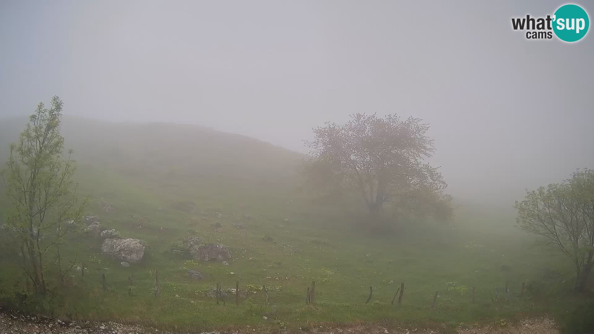 Webcam Krn – Planina Kuhinja ( Plateau Kuhinja ) – Kobarid – Slovenia