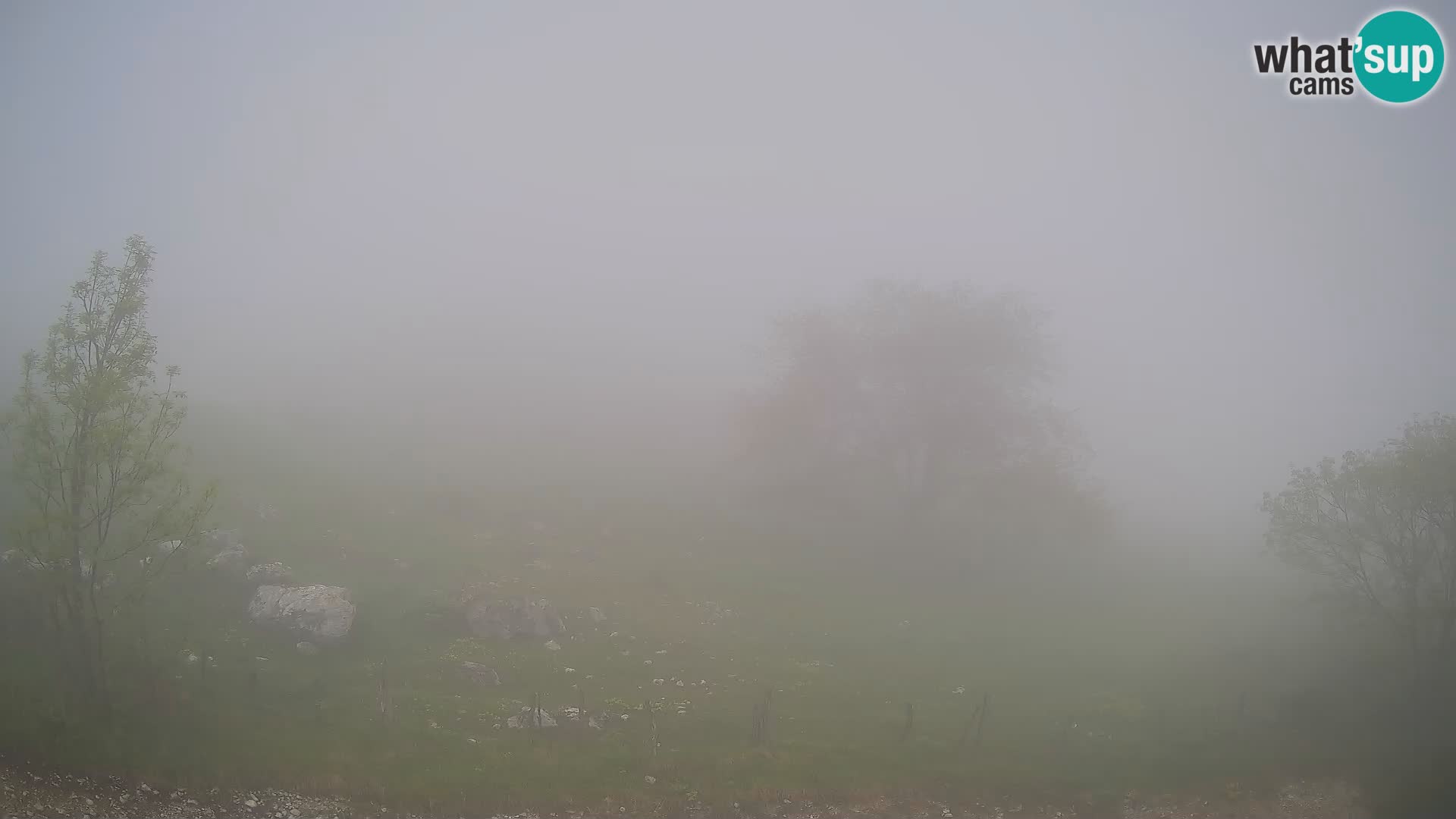 Webcam Krn – Planina Kuhinja ( Plateau Kuhinja ) – Kobarid – Slovenia
